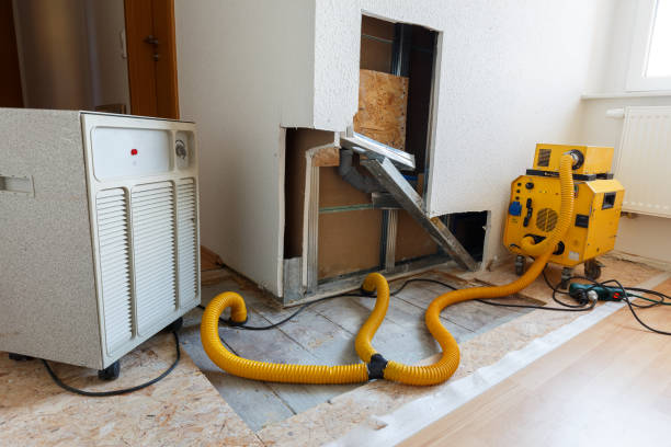 Best Commercial Mold Inspection  in Dixmoor, IL